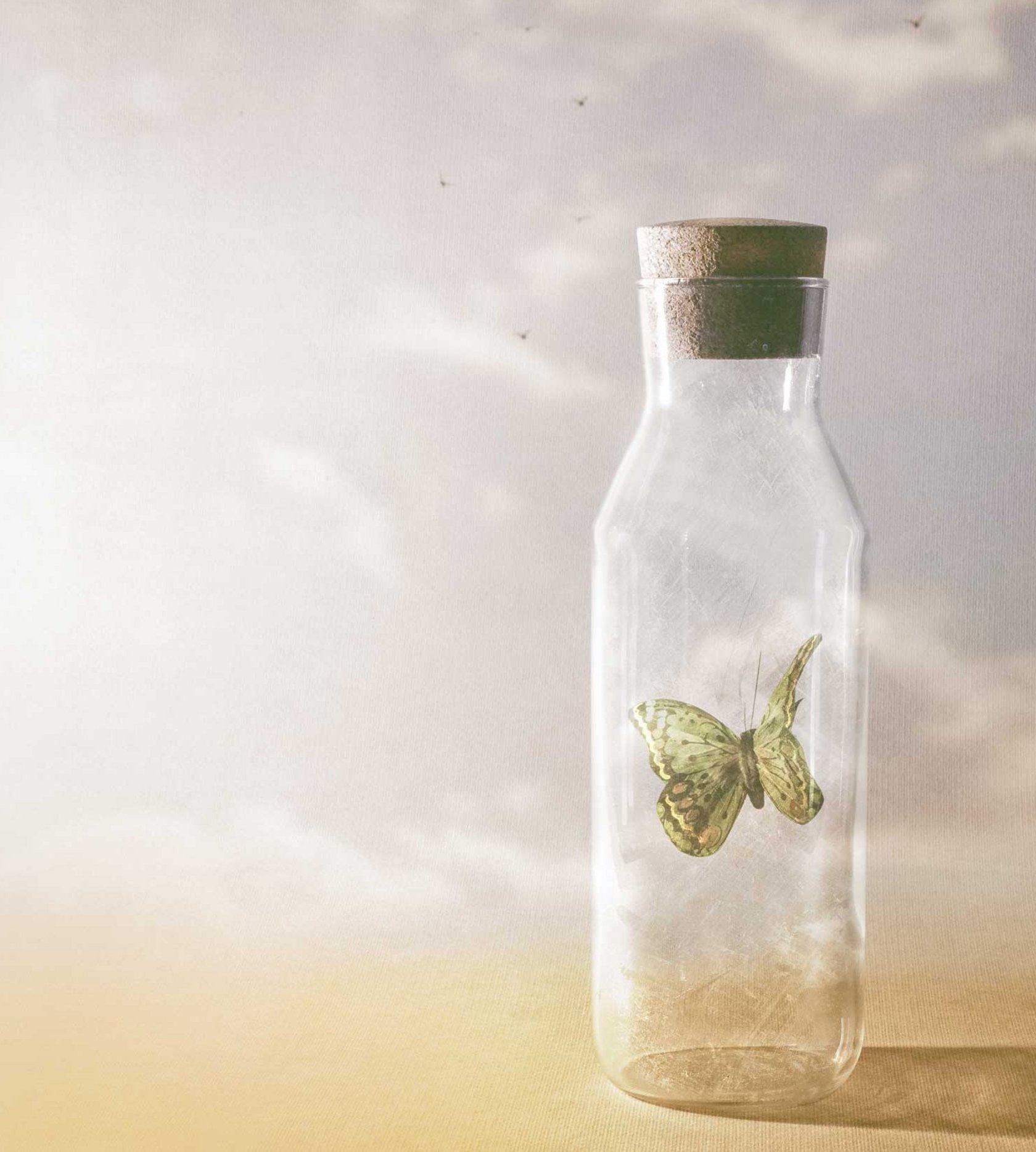 Ein Schmetterling wird in einer Flasche gefangen gehalten.