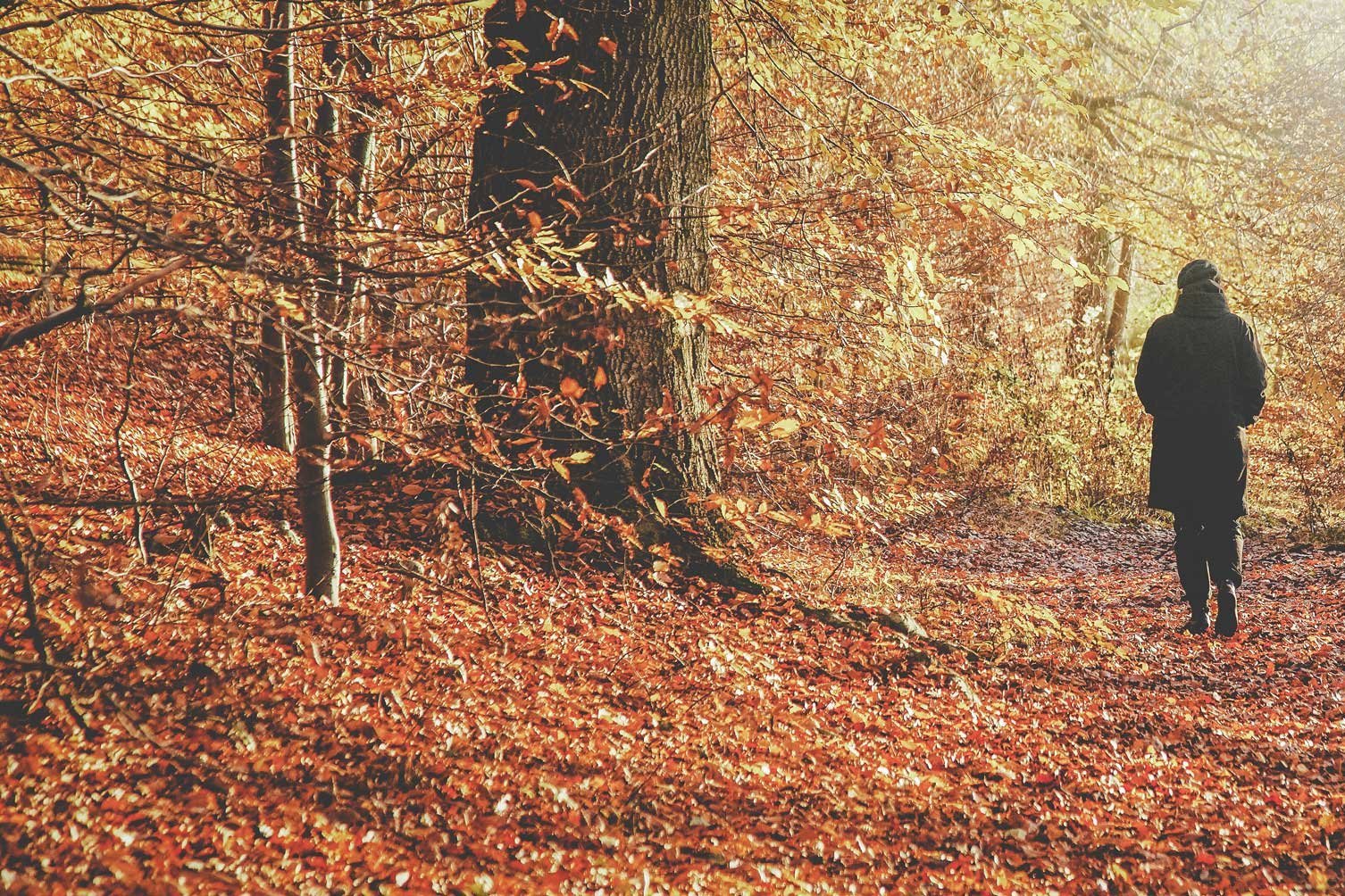Person spaziert durch einen herbstlichen Wald